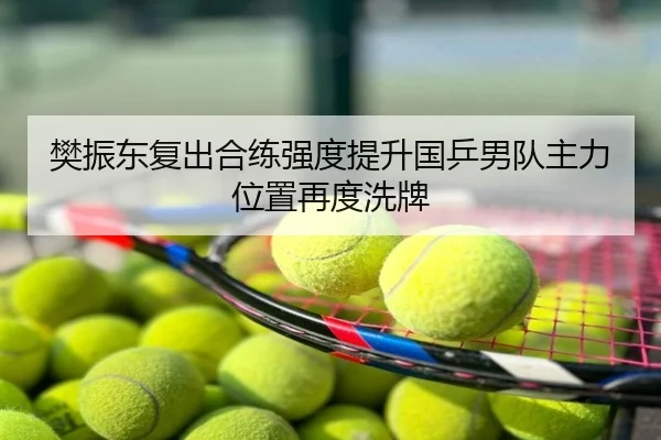 樊振东复出合练强度提升国乒男队主力位置再度洗牌